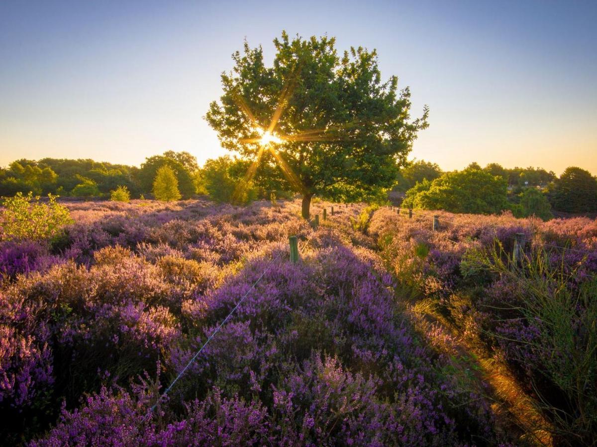 Отель Landal Gooise Heide Хюйцен Экстерьер фото